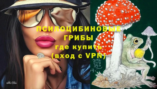 гидра Армянск
