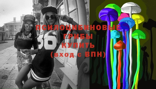 дживик Арсеньев